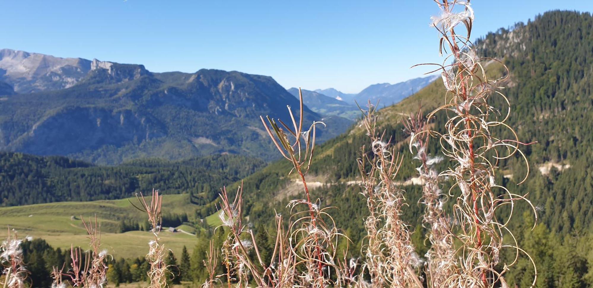 Ferienhaus Mountain View Spital Am Pyhrn Luaran gambar