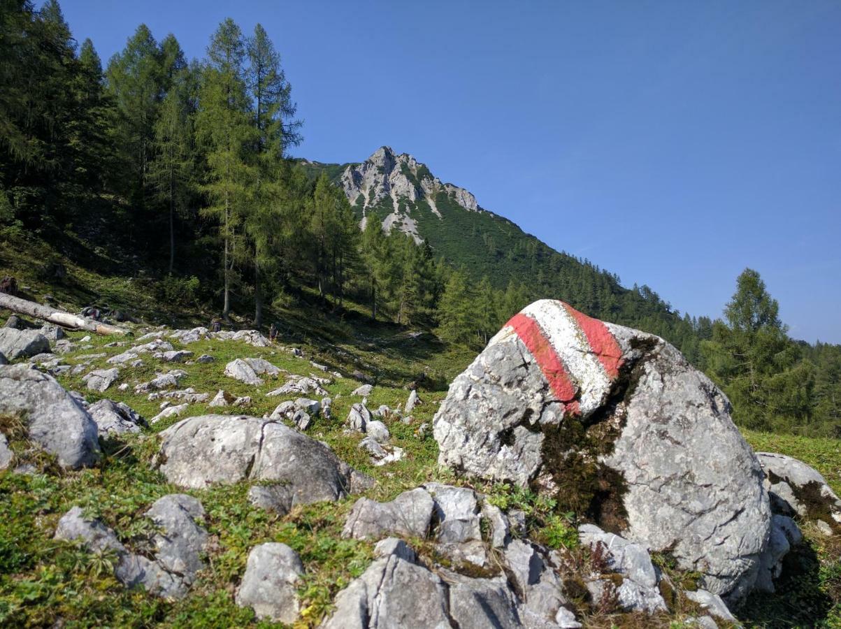 Ferienhaus Mountain View Spital Am Pyhrn Luaran gambar